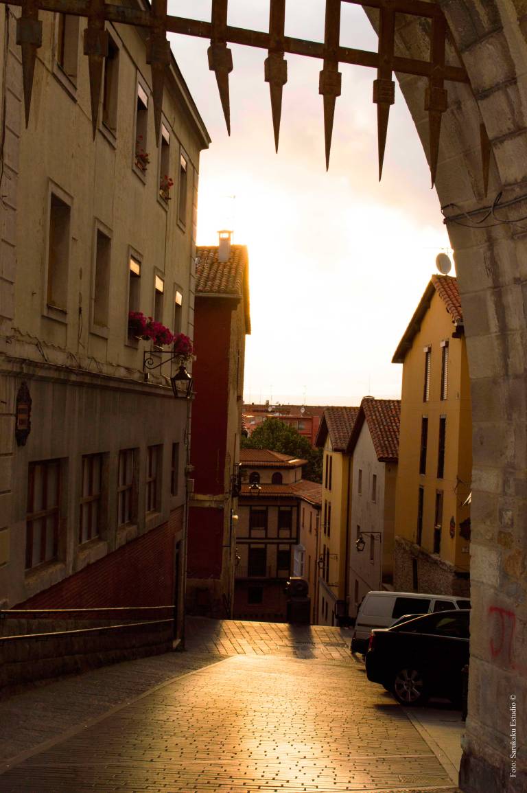 vitoria-sarukaku-web3