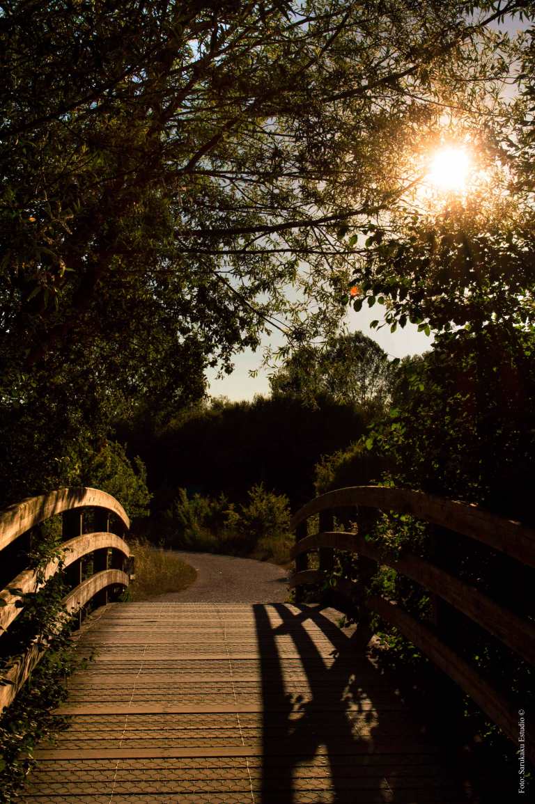 vitoria-sarukaku-web36