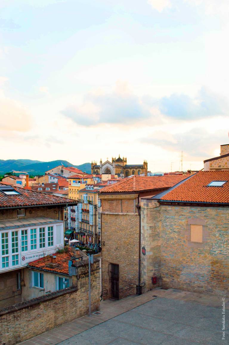 vitoria-sarukaku-web7